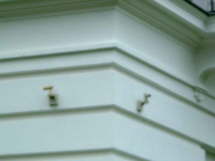 Kuck mal, wer hier kuckt!